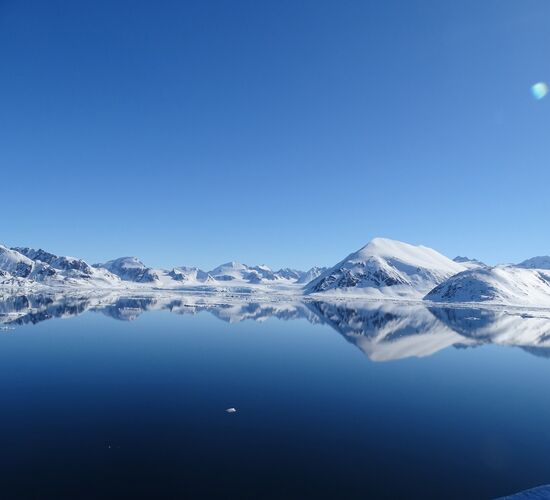 Entdeckerreise Nordspitzbergen - Eisbären, Buckelwale und mehr © Nordspitzbergen