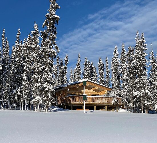 Premium Family Retreat © cabins