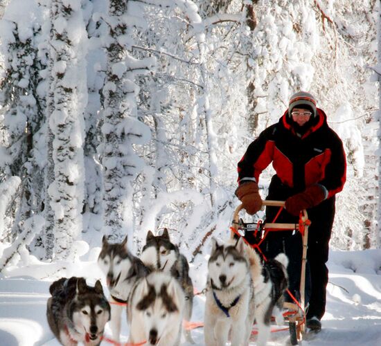 Husky week in Finland