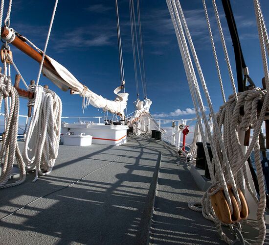 s/v Rembrandt van Rijn © ship rembrandt van rijn