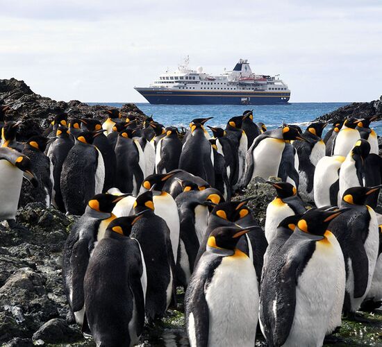 Vergessene Inseln des Südpazifiks: Subantarktische Inseln © ship heritage adventurer