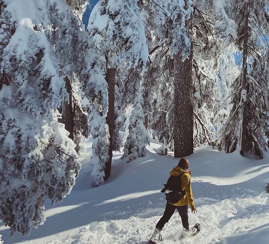 Snowshoe walk © pictures resized