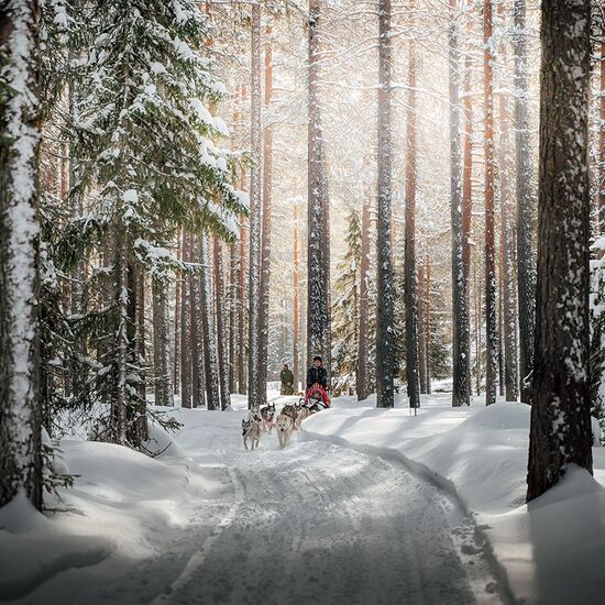 Langes Wochenende mit Huskys und Nordlichtern
