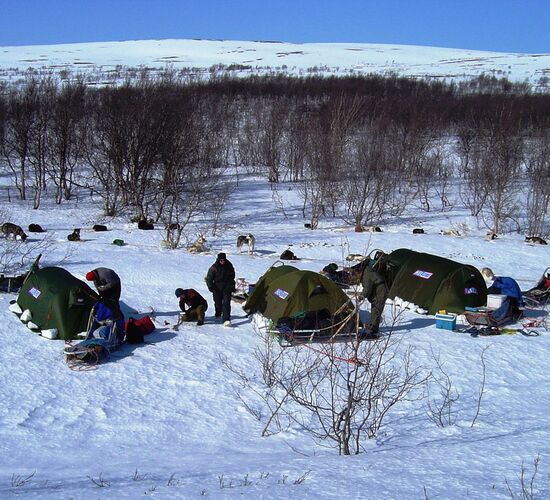 Husky Expedition zum Arktischen Meer