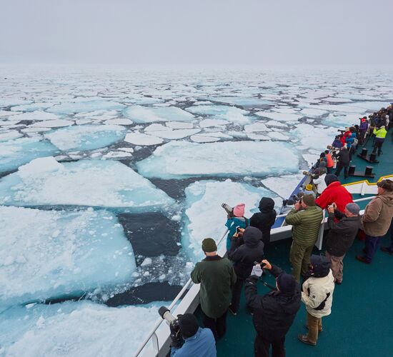 Entdeckerreise nach Nordspitzbergen - Eisbär-Special © Nordspitzbergen