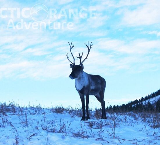 Over the ice road and to the Arctic Sea © Arctic Range Adventures