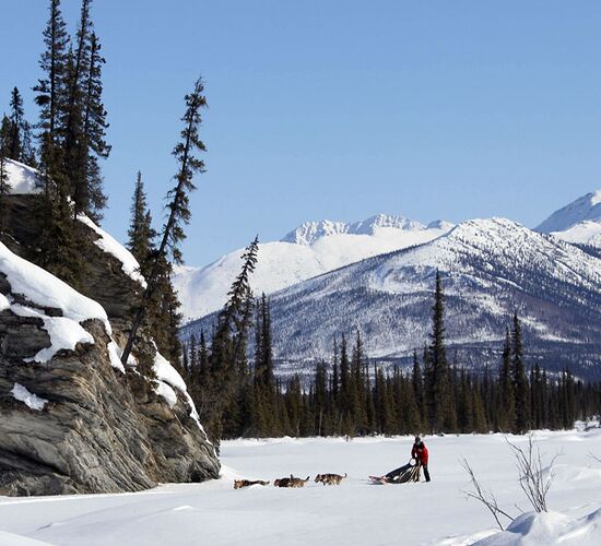 Brooks Range Husky Expedition