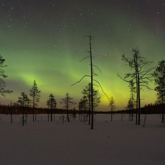 Familienweihnachten in Süd-Lappland