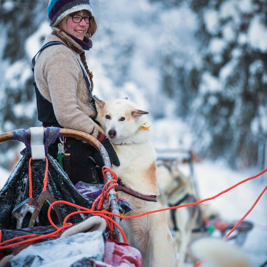 Active Lapland Holiday