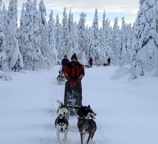 Husky Safari in Finnland © Nature Point Paljakka