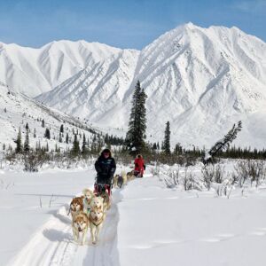 Husky Adventure Tour: dog sledding through the stunning Yukon