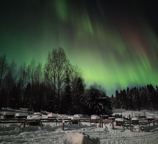 Husky holidays in Sweden's wilderness © nordic husky farm