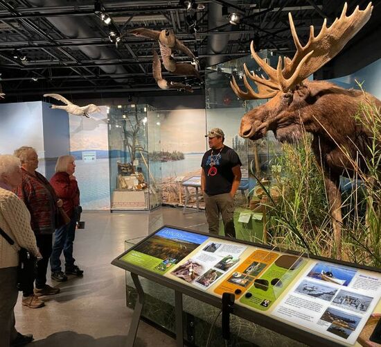 © north star adventures