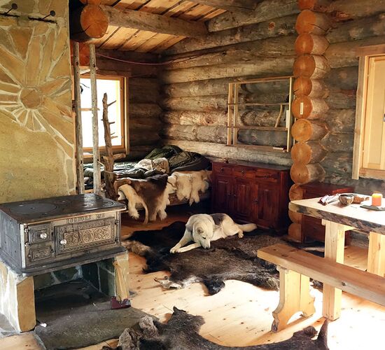 Authentic Holiday Husky Farm Adventure in Finland © wilderness huskies siperia