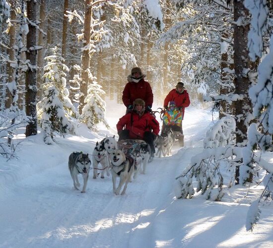 Bilder (39) Aurora Borealis Adventure
