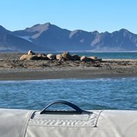 © Sail & Explore Svalbard