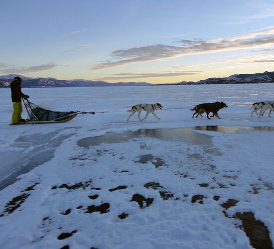 Wilderness tour with huskies in the Yukon © cathers