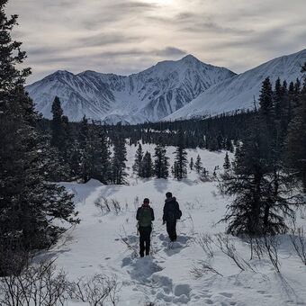 © Mount LoganLodge