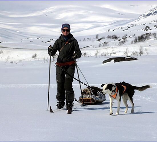 Fjälltour durch Lapplands Wildnis © Huskycamp Gasa
