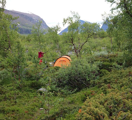 Trekkingtour Schweden © Huskycamp Gasa