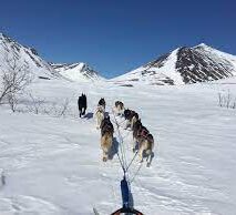 Husky adventure with overnight camping © arctic dog adventure co