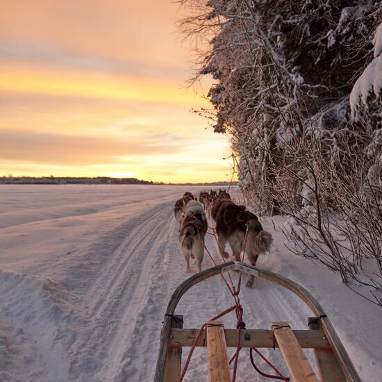 Husky Weekend in Northern Sweden