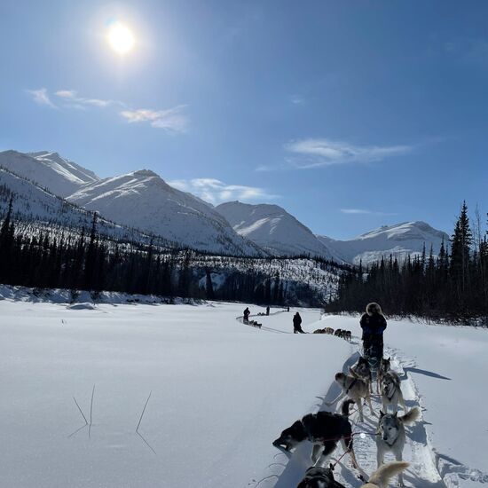 Hundeschlittenexpedition in den White Mountains Alaskas