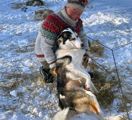 Bilder (67) Huskykompaniet