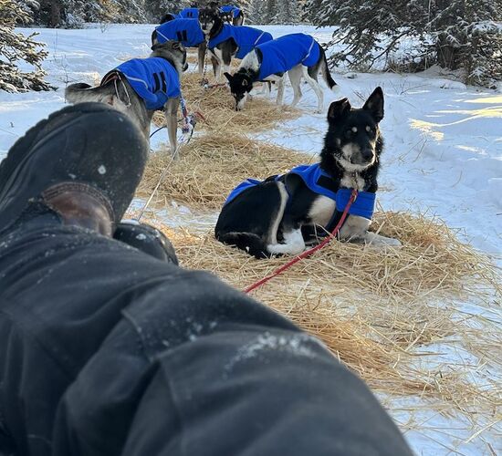Winter dreams at Kluane National Park © Mount LoganLodge