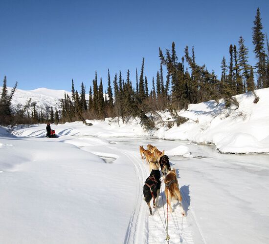 Brooks Range Husky Expedition © alaska winter adventures