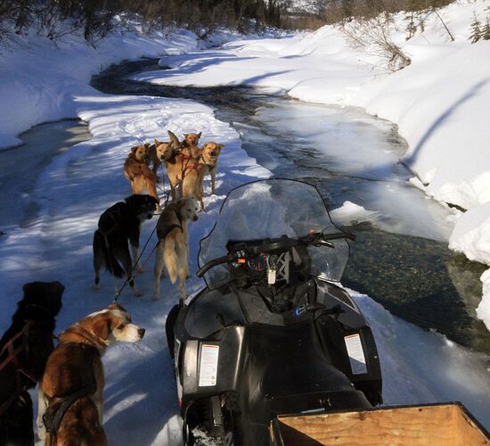 Brooks Range Husky Expedition © alaska winter adventures