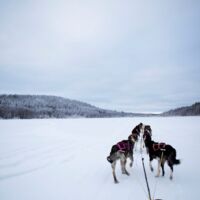 © sörbyn lodge