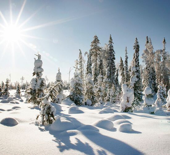 Weihnachten 2026 in Lappland © saija