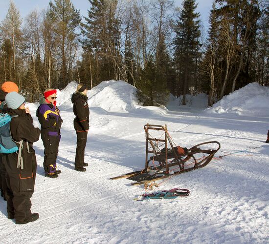 Lapplands Wildnis mit dem eigenen Hundeschlitten © huskykompaniet