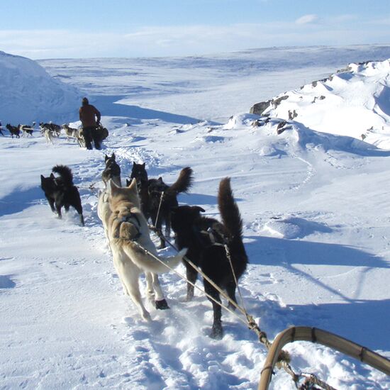 Private Sámi Land Round Trip