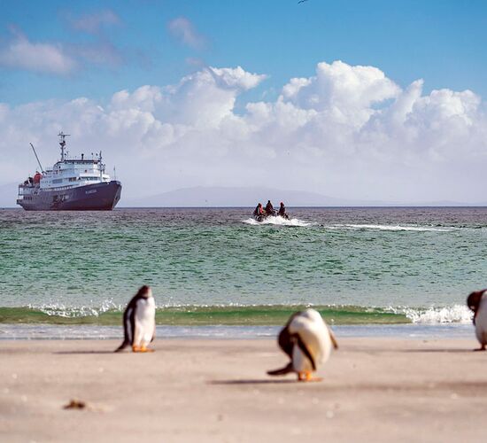 m/v Plancius © ship plancius