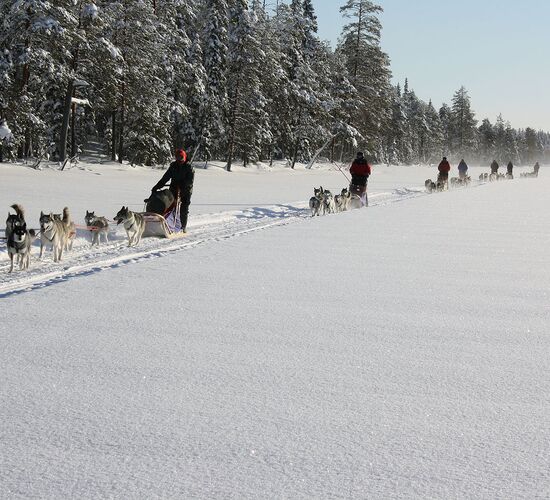 Kurzurlaub mit Polarlichtjagd © vuokatti safaris