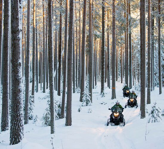 Snowmobile Safari & Ice Fishing © grano beckasin