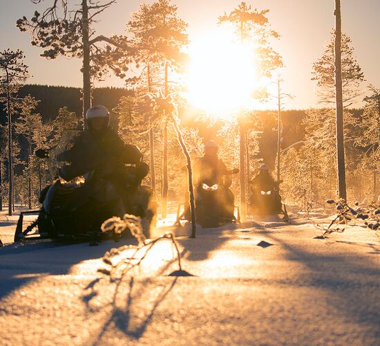 Nordlicht Schneemobil Safari © grano beckasin