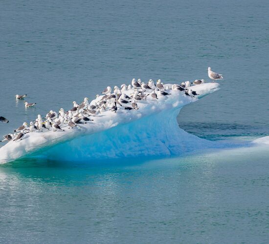 Grönland & totale Sonnenfinsternis © greenland from iceland