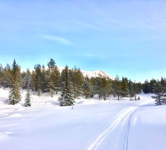 Winterwoche mit Huskys in atemberaubender Natur © whitehorizon