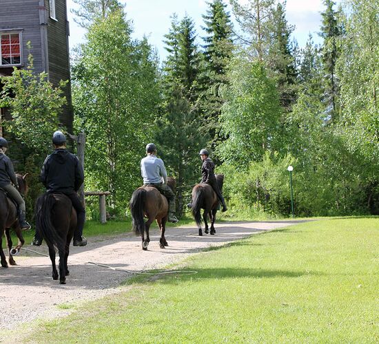Reiturlaub Finnland © Nature Point Paljakka