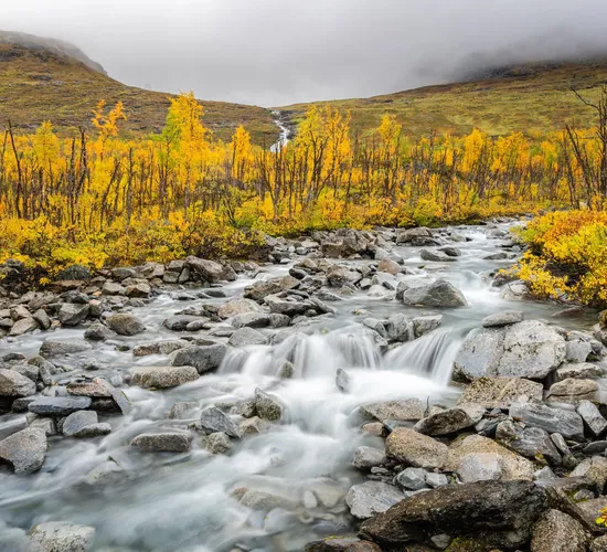 Weihnachts- und Silvesterspezial mit Huskys und Rentieren © autumn colors of swedish lapland