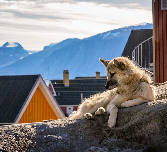 Complete East Greenland © ultimate greenland adventure