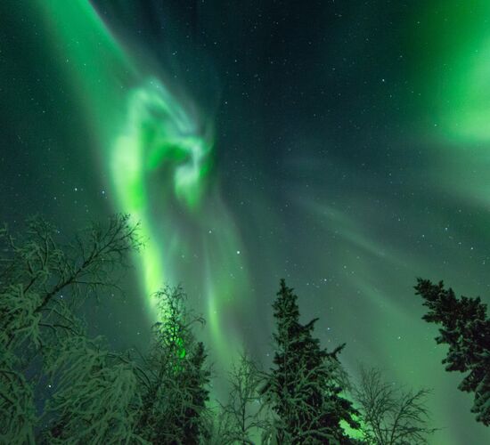 Wild & Luxury Dog Sledding © isosyoete