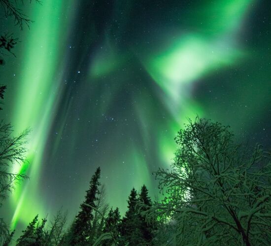 Wild & Luxury Dog Sledding © isosyoete
