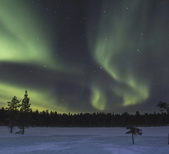 Huskywoche in Nordfinnland © nomadic