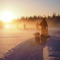 © pallas huskies