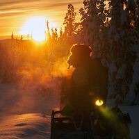 © into the wild husky tours norway