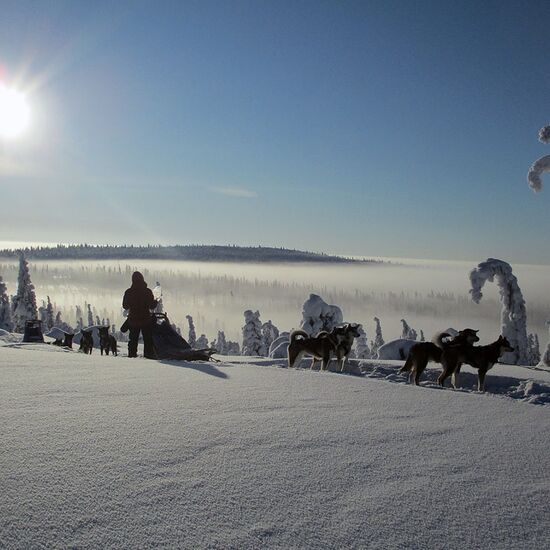 Vindelfjällens Sled Dog Expedition: Europe´s last wilderness